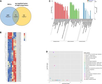 Transcriptomics Analysis and Re-sequencing Reveal the Mechanism Underlying the Thermotolerance of an Artificial Selection Population of the Pacific Oyster
